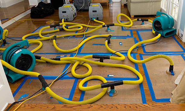 Professional Crawl Space Water Removal technician working in Marine City, MI