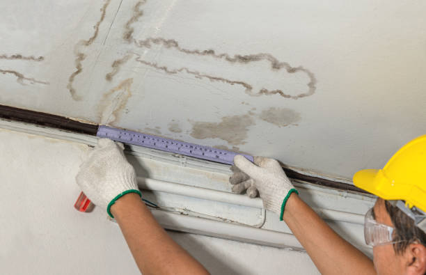 Affordable Water Damage Repair solutions in Marine City, MI
